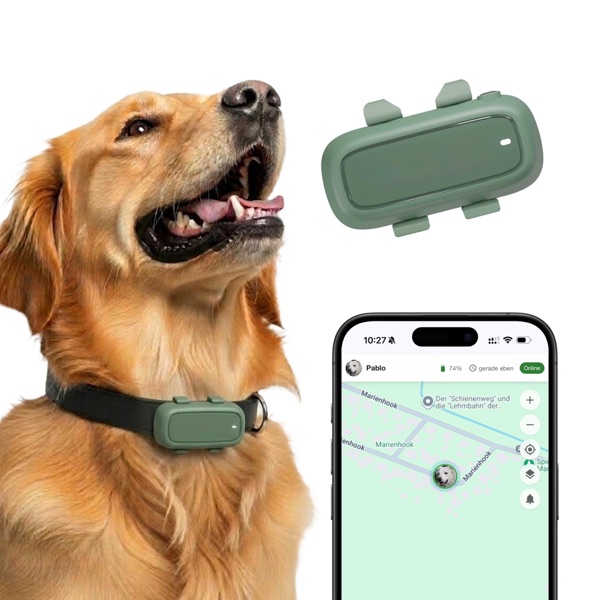 LocoGPS Tracker